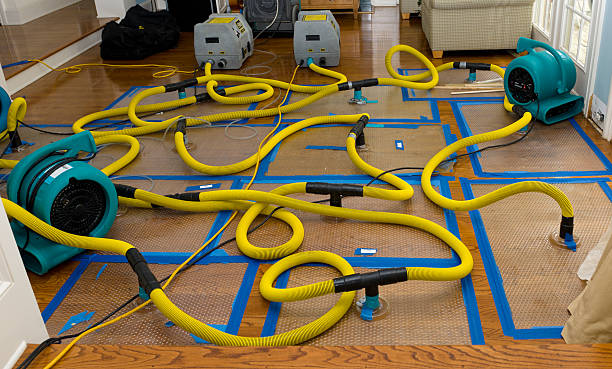 Professional Basement Flood Cleanup technician working in Cold Spring Harbor, NY